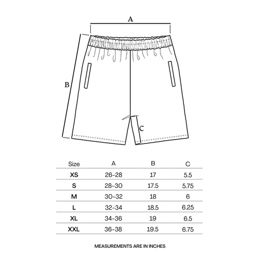 Paisley Mesh Shorts [Taupe]